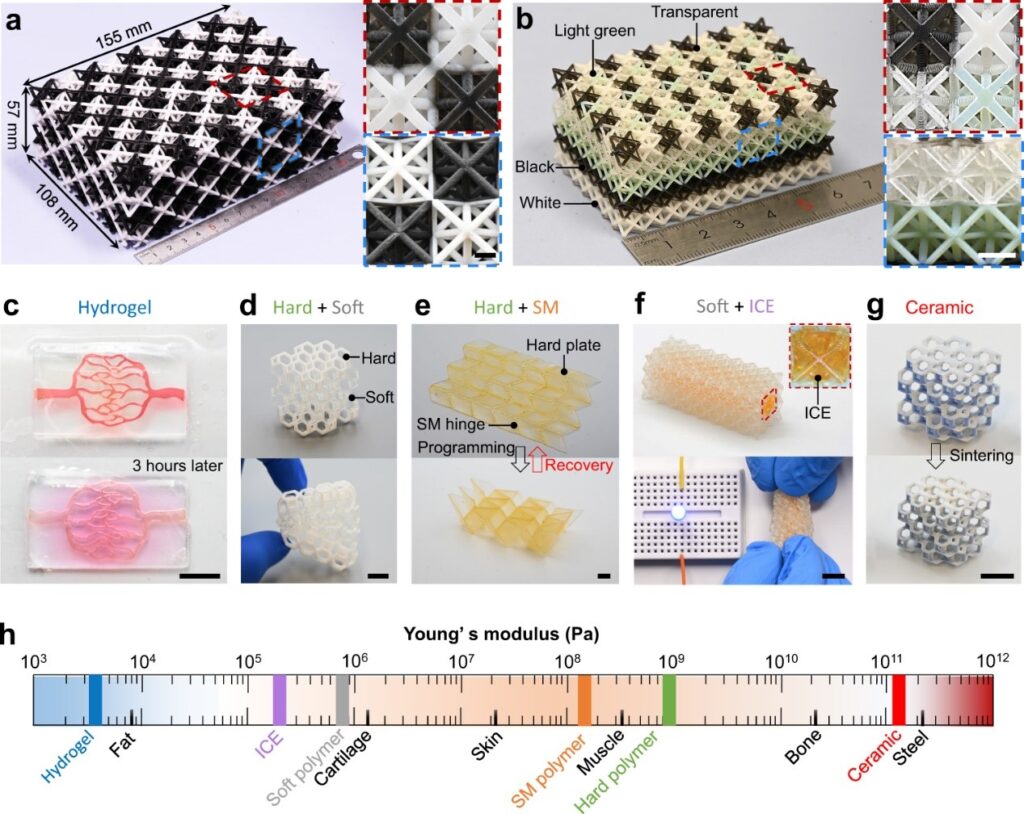 南科大葛锜团队提出离心多材料3D打印技术用于多功能复杂三维异质结构快速一体化成型
