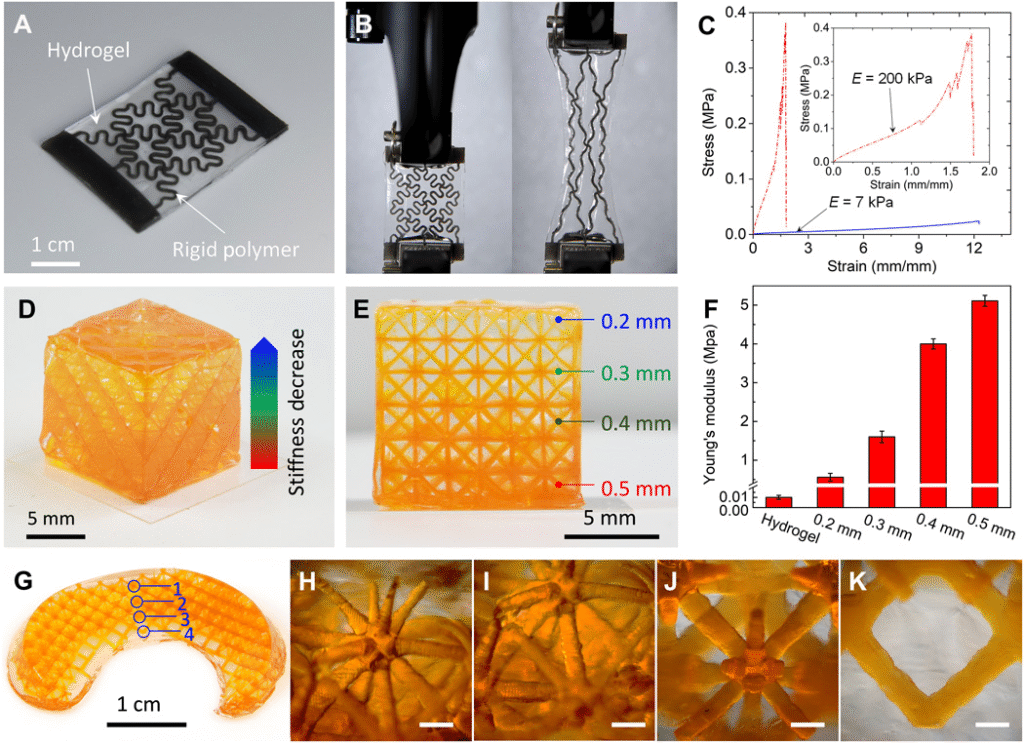 南科大葛锜团队在3D打印水凝胶-高分子复合结构研究方向取得进展