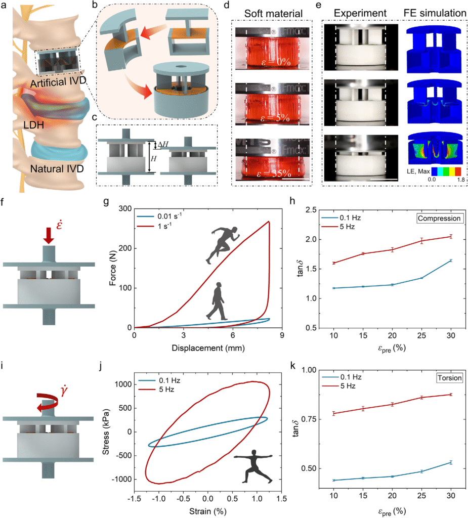 文献热点丨南科大葛锜团队联合香港大学陆洋团队在基于压缩-拉伸转换设计的高性能能量耗散超器件方向取得进展