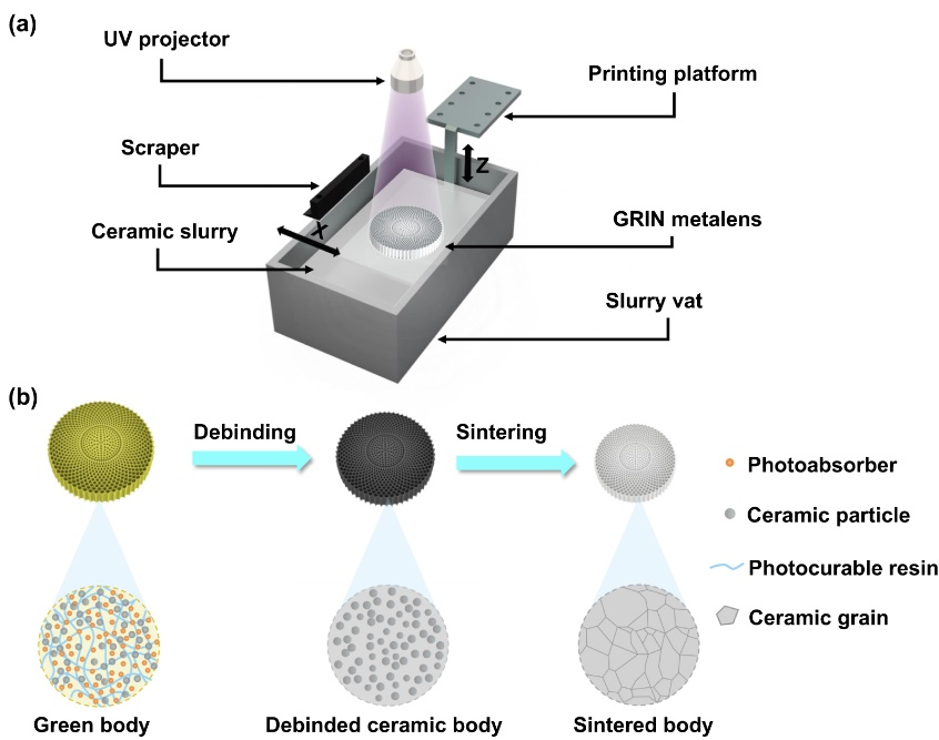 文献热点丨南科大葛锜/王荣团队实现高精度陶瓷超构透镜DLP打印
