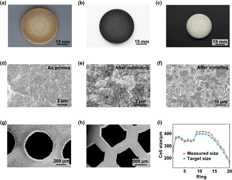 文献热点丨南科大葛锜/王荣团队实现高精度陶瓷超构透镜DLP打印